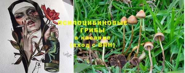 марки nbome Балабаново