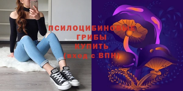 PSILOCYBIN Балахна